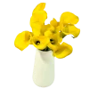 Mini calla yellow