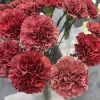 Assorted (Red, White, Pink, Novelty)