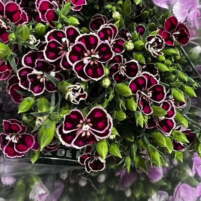 flowers-02