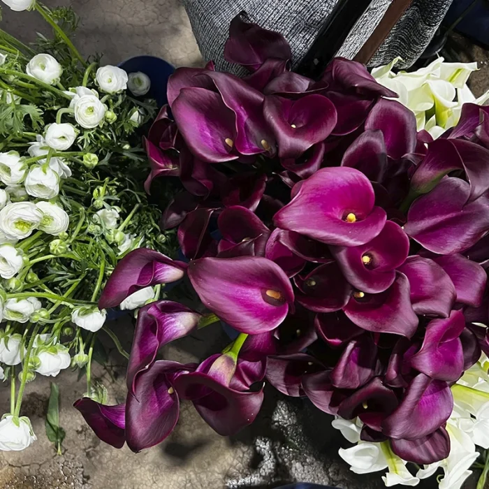 flowers-07