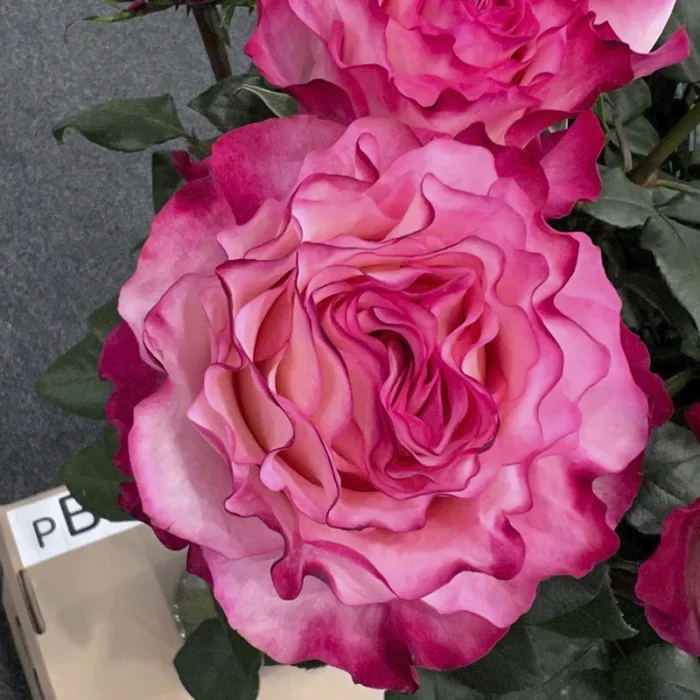 flowers59