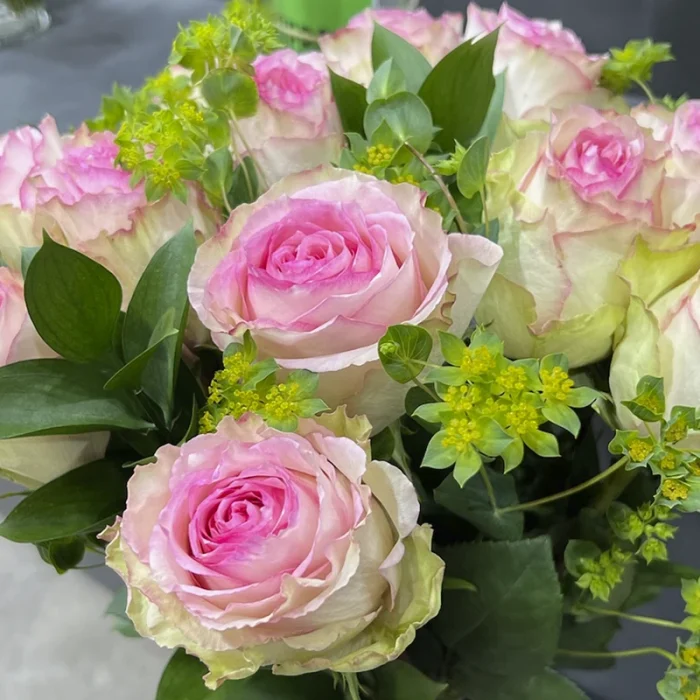 rosas21