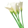 Natural White Open Cut