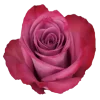 Piacere