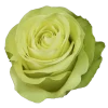 Wasabi