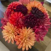 Football Dyed Colors
